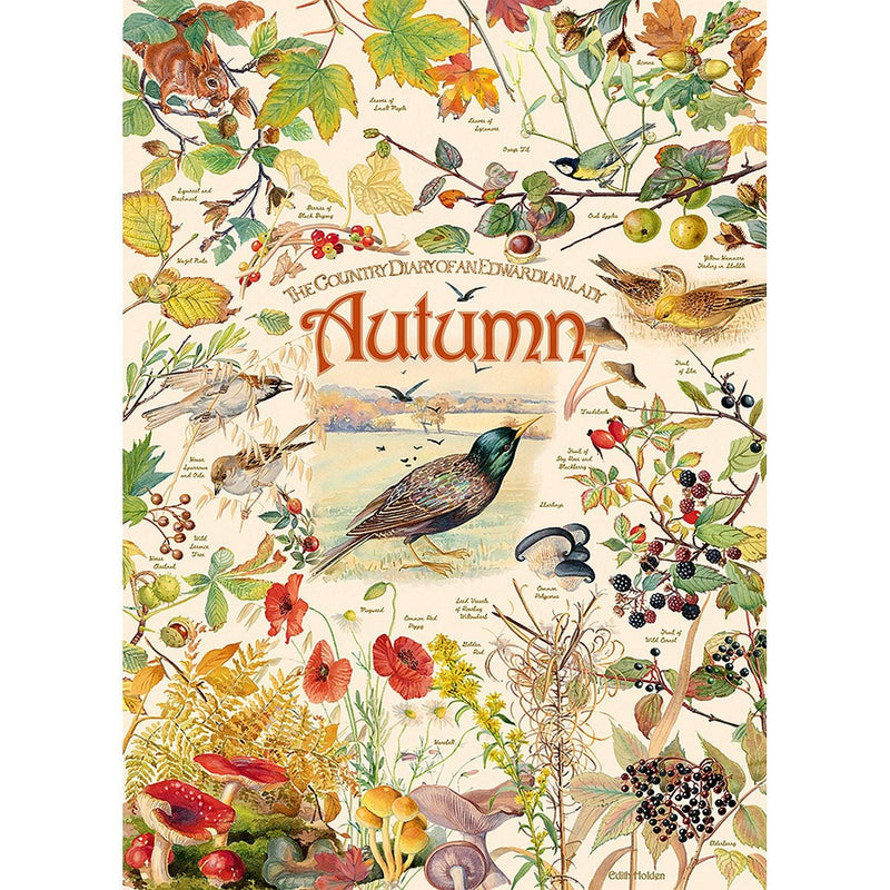 Cobble Hill - Country Diary: Autumn (1000-Piece Puzzle) - Limolin 