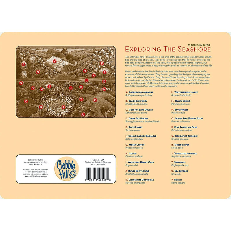 Cobble Hill - Exploring The Seashore (35-Piece Puzzle Tray) - Limolin 