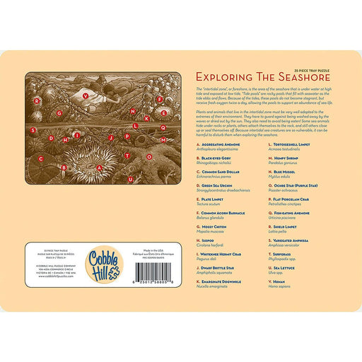 Cobble Hill - Exploring The Seashore (35-Piece Puzzle Tray) - Limolin 