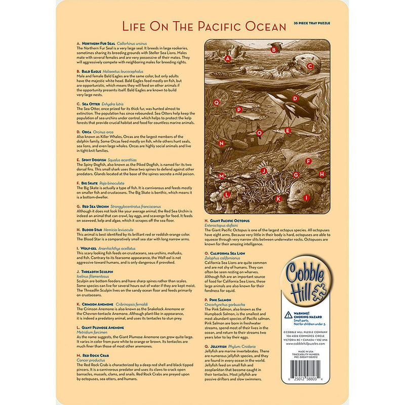 Cobble Hill - Life on the Pacific Ocean (tray) | 35 Piece Tray - Limolin 