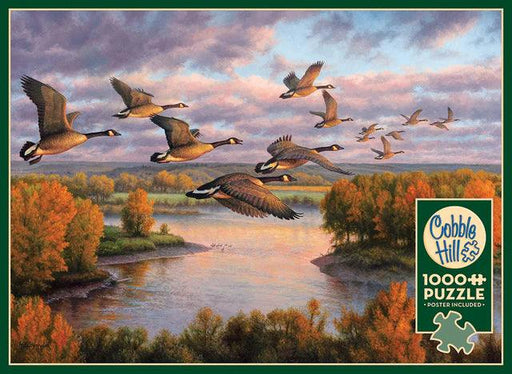 Cobble Hill - Migration - Limolin 