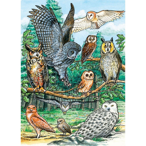 Cobble Hill - North American Owls (35-Piece Puzzle Tray) - Limolin 