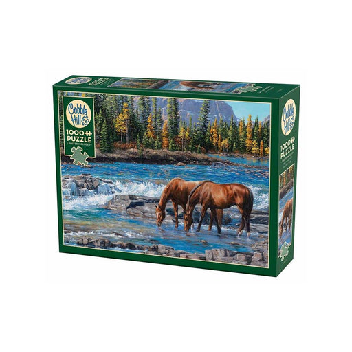 Cobble Hill - On the Rocks (1000-Piece Puzzle) - Limolin 