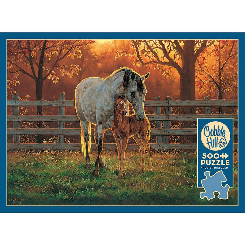 Cobble Hill - Quiet Time (500-Piece Puzzle) - Limolin 