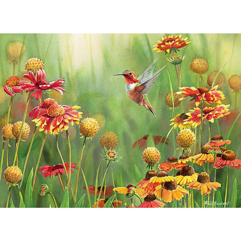 Cobble Hill - Rufous Hummingbird (500-Piece Puzzle) - Limolin 