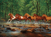 Cobble Hill - Spring Creek Run (1000-Piece Puzzle) - Limolin 