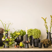 Costa Nova - Le Jardin Noir Trianon Piece - Limolin 