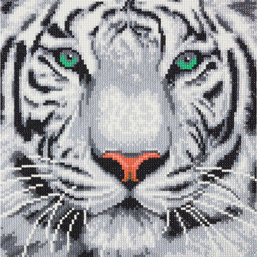 Crystal Art - CA Kit (Medium) - White Tiger - Limolin 