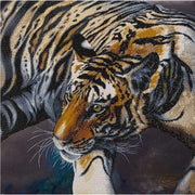 Crystal Art - CA Kit (XL size B) - The Tiger - Limolin 
