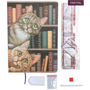 Crystal Art - CA Notebook - Catsin the Library - Limolin 