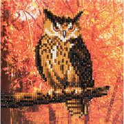 Crystal Art - Card - Autumn Owl - Limolin 