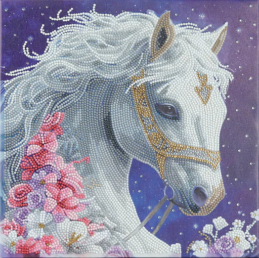 Crystal Art - Mounted Kit (Med): Mystic Beauty - Limolin 