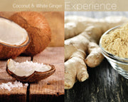 Cuccio - Présentoir Coconut & Gingembre/Coconut & White Ginger Butter (6 X 8Oz) - Limolin 