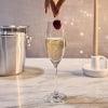 Cuisivin - Sante Flute Champagne 725oz / 210ml - 6Pk - Limolin 