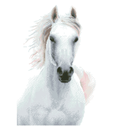 Imperial Stallion 56x73