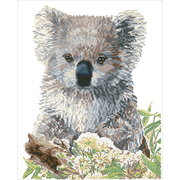Koala & Eucalyptus Blossom 59X49