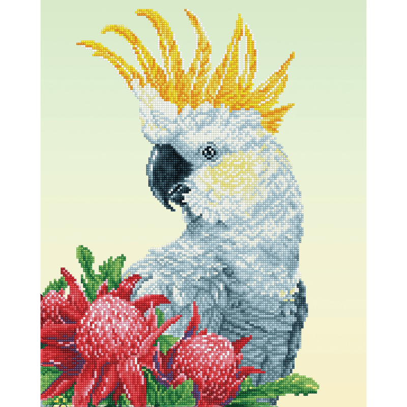 White Cockatoo & Warathas 59X49