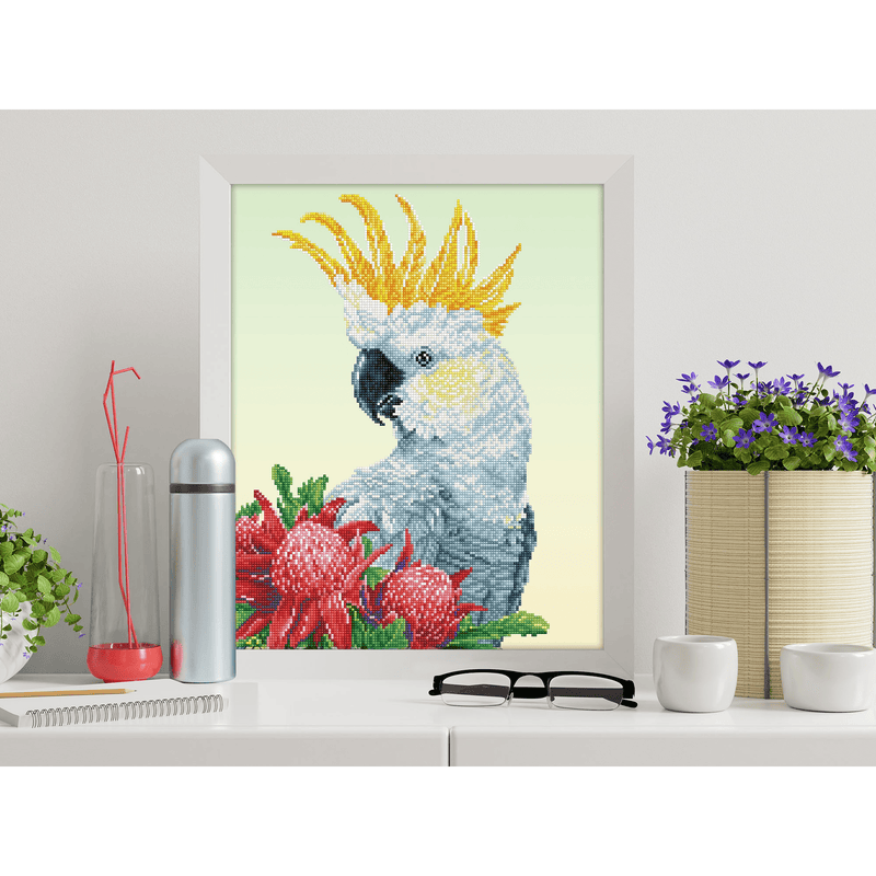 White Cockatoo & Warathas 59X49