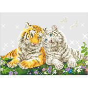 Tiger Smooch 63X85