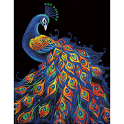 NEON PEACOCK (17.1" x 21.1" - 43,5cm x 53,7cm)