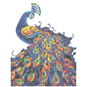 NEON PEACOCK (17.1" x 21.1" - 43,5cm x 53,7cm)