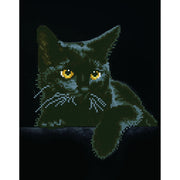 MIDNIGHT CAT (14" x 11" - 35,5cm x 27,9cm)