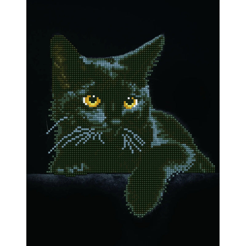 MIDNIGHT CAT (14" x 11" - 35,5cm x 27,9cm)