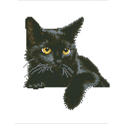 MIDNIGHT CAT (14" x 11" - 35,5cm x 27,9cm)