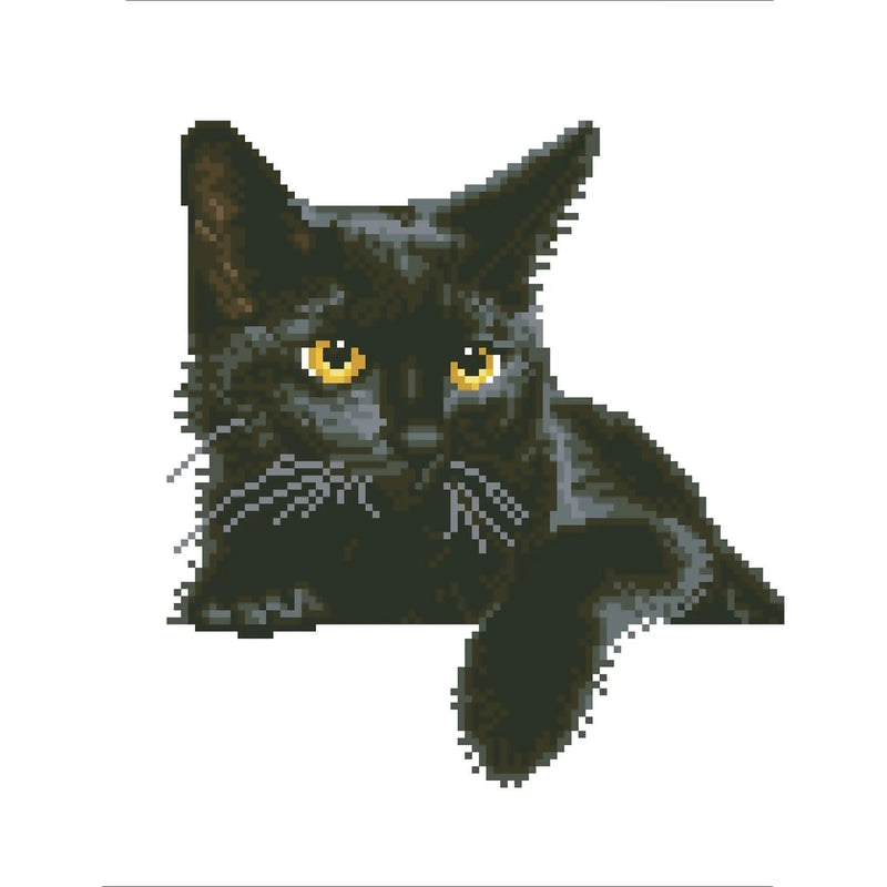 MIDNIGHT CAT (14" x 11" - 35,5cm x 27,9cm)