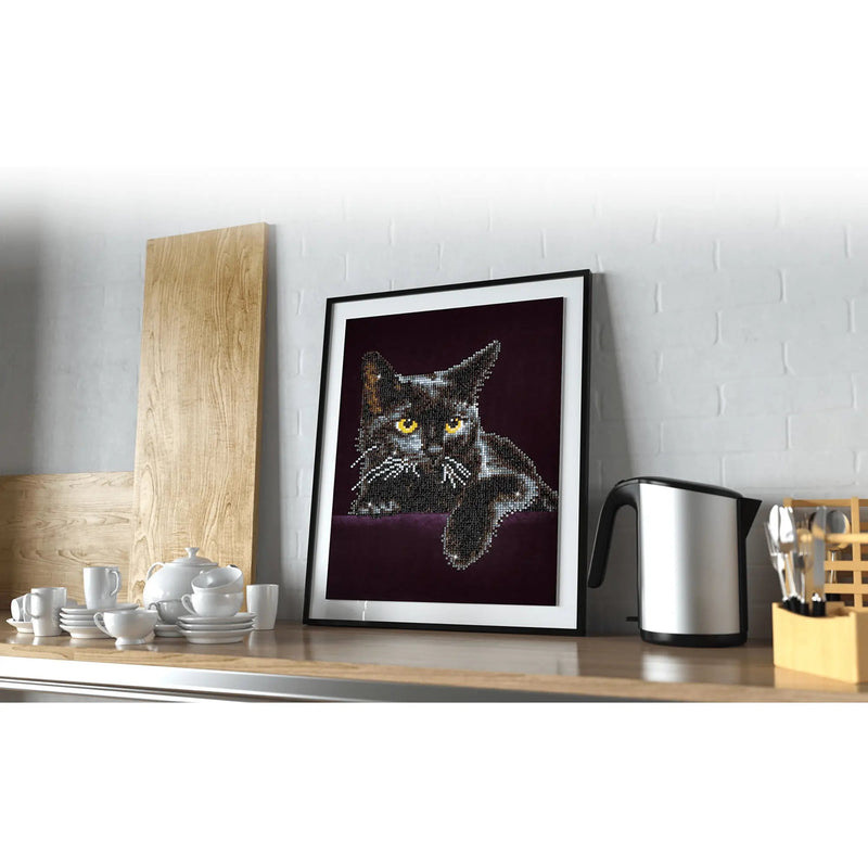 MIDNIGHT CAT (14" x 11" - 35,5cm x 27,9cm)