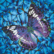 Flutter by Mauve 38X38