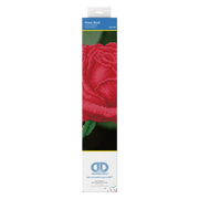 Rose Bud 38.5x38.5