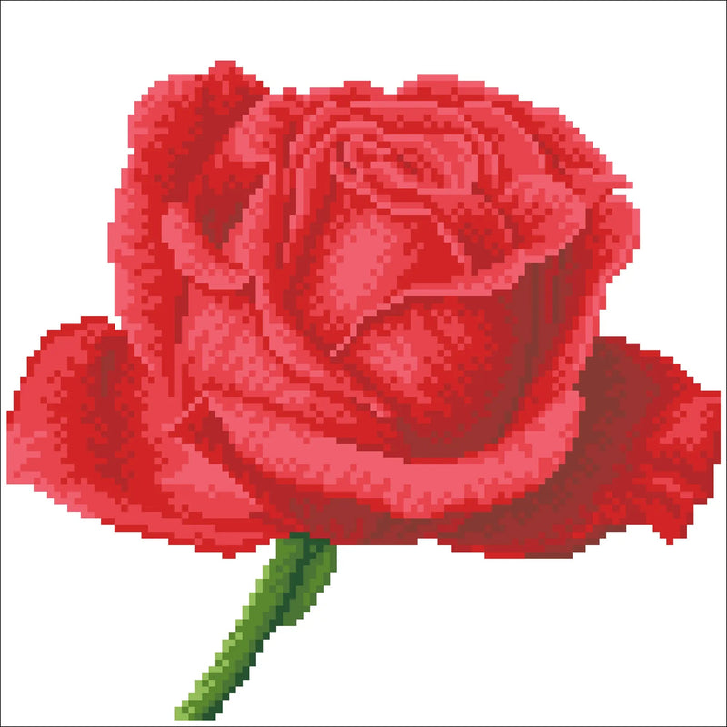 Rose Bud 38.5x38.5