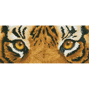 Tiger Spy 50x23