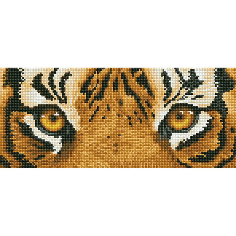 Tiger Spy 50x23