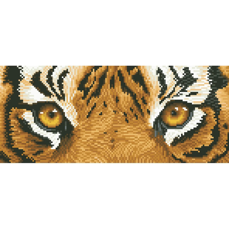 Tiger Spy 50x23