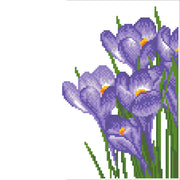 SPRING CROCUS (12.6" x 8.66" x 32cm x 22xm)