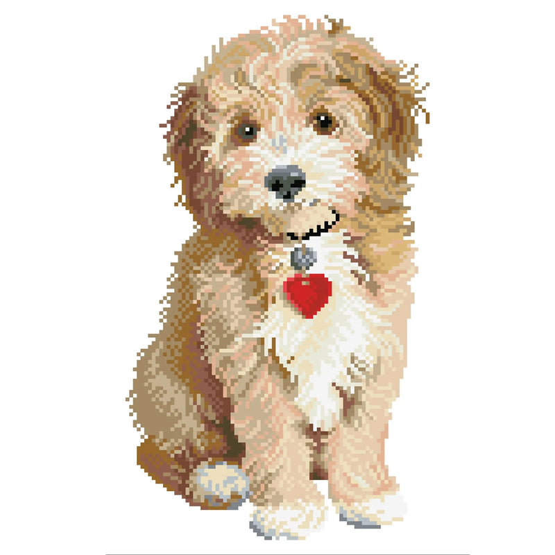 LOVELY BOY (16.5" x 12.6" - 42cm x 32cm)