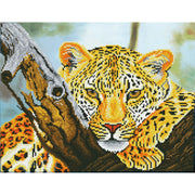 LEOPARD LOOK (14" x 18" - 35,5cm x 45,72xm)