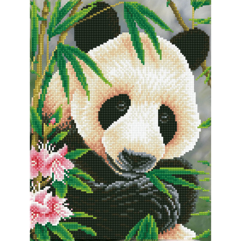 Panda Prince 38x48