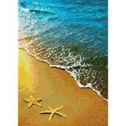 SUMMER DREAMS (11" x 16" - 29cm x 41cm)