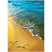 SUMMER DREAMS (11" x 16" - 29cm x 41cm)