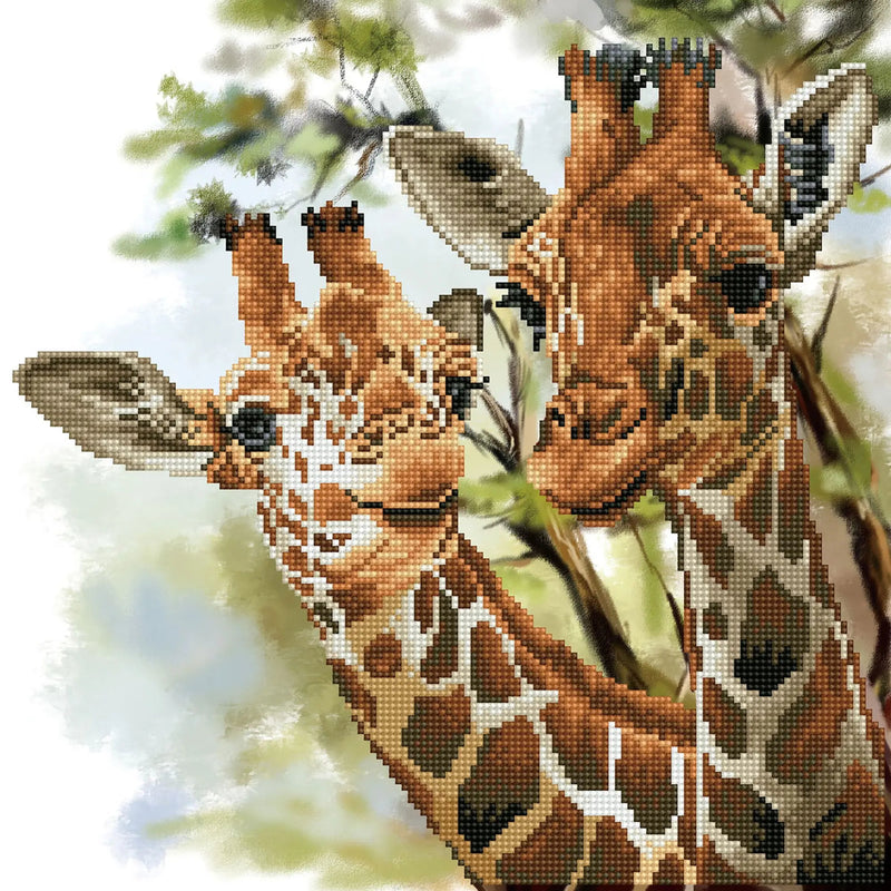 TALL & TENDER (15" x 15" - 40cm x 40cm)