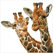 TALL & TENDER (15" x 15" - 40cm x 40cm)