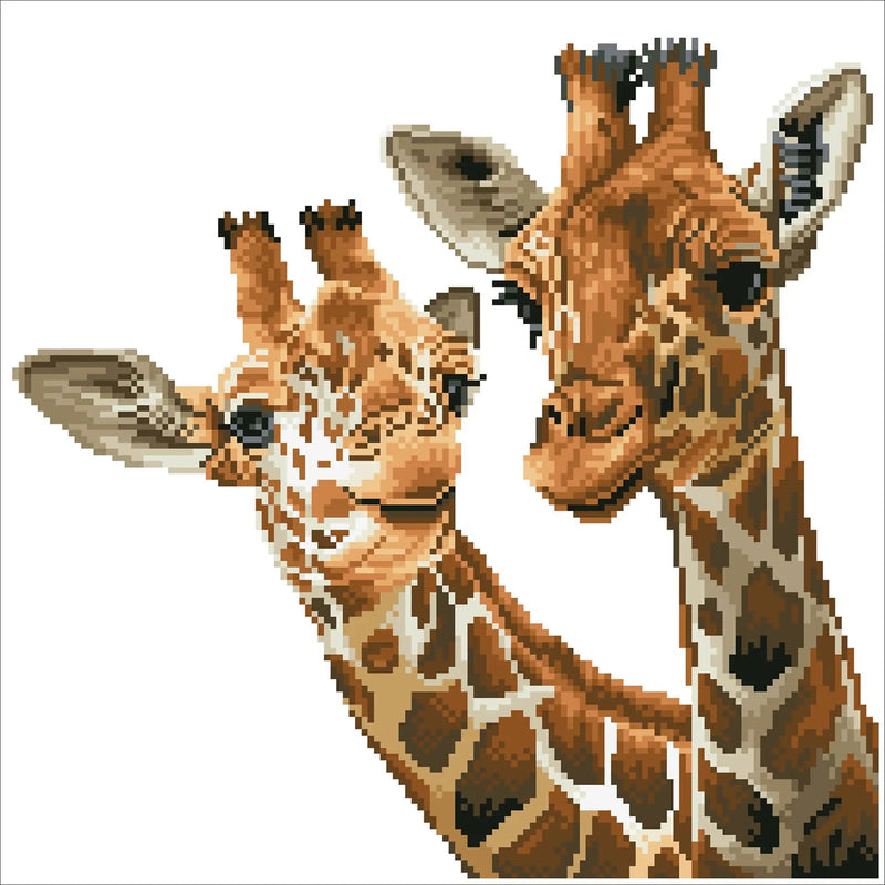 TALL & TENDER (15" x 15" - 40cm x 40cm)