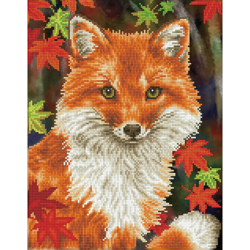 FOXY (13" x 17" - 35cm x 45cm)
