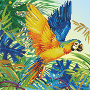 Tropical Majesty 49X49