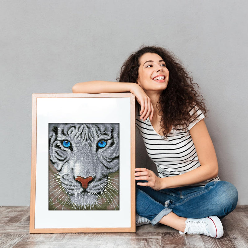 DIAMOND DOTZ - White Magic 50x42