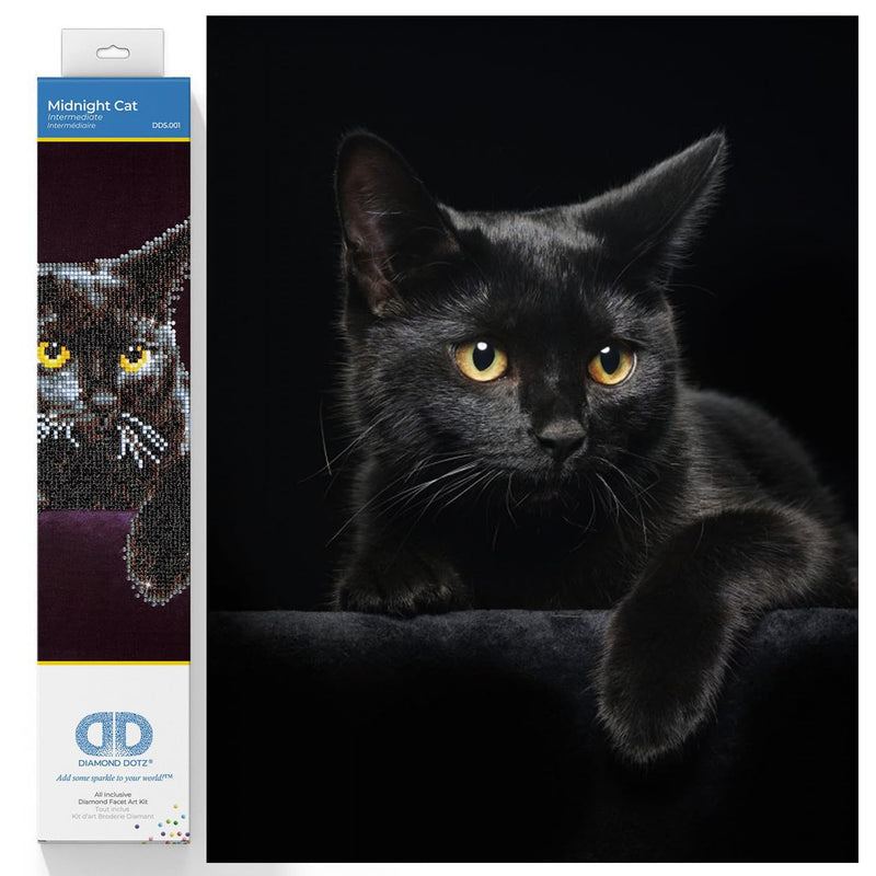 DIAMOND DOTZ - Midnight CAT (14" x 11")