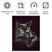 DIAMOND DOTZ - Midnight CAT (14" x 11")